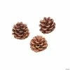 New ⭐ Natural Pinecones - 12 Pc. ✨