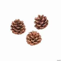New ⭐ Natural Pinecones - 12 Pc. ✨