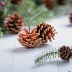New ⭐ Natural Pinecones - 12 Pc. ✨ -Christmas Hom shop natural pinecones 12 pc 13751507 a02