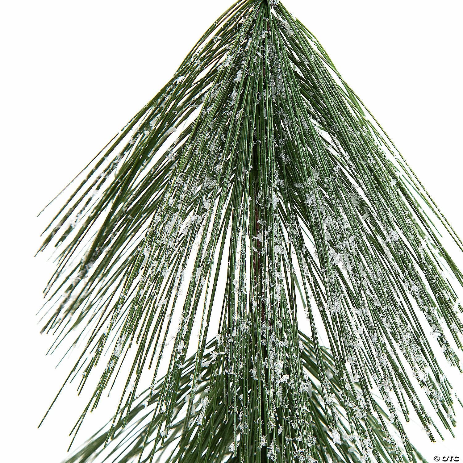 Wholesale β¨ Tabletop Evergreen Trees π₯ 4 Wholesale β¨ Tabletop Evergreen Trees π₯ - Image 2